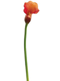 Flame Orange