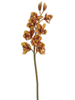 31" Cymbidium Orchid Spray  Brown Gold (pack of 6)