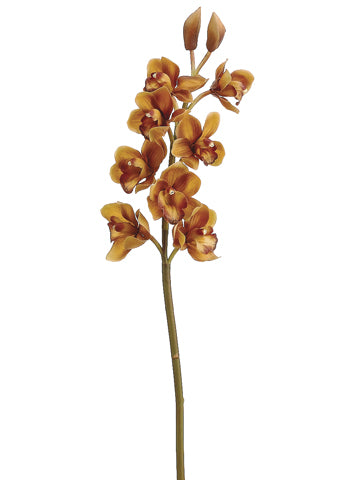 31" Cymbidium Orchid Spray  Brown Gold (pack of 6)
