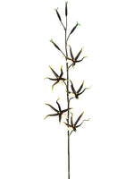 39" Spider Orchid Spray  Black Yellow (pack of 12)