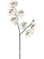 31" Phalaenopsis Orchid Spray w/7 Flw. & 1 Bud White (pack of 6)