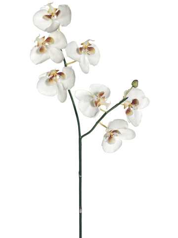 31" Phalaenopsis Orchid Spray w/7 Flw. & 1 Bud White (pack of 6)