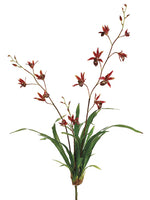 34" Dendrobium Orchid Plant with Leaves Brick (pack of 4)