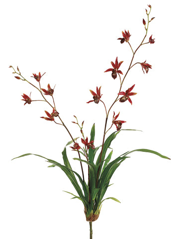 34" Dendrobium Orchid Plant with Leaves Brick (pack of 4)
