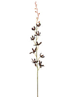 38" Tahitian Vanda Orchid Spray x1 Eggplant (pack of 12)
