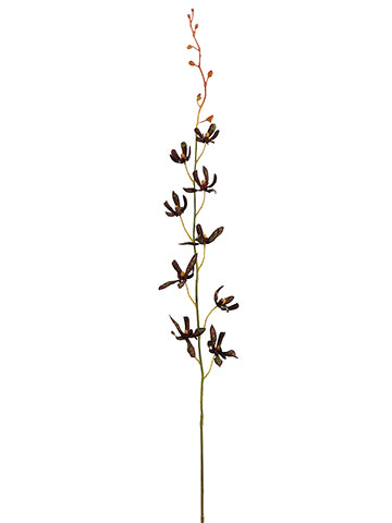 38" Tahitian Vanda Orchid Spray x1 Eggplant (pack of 12)