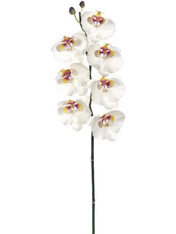 34" Phalaenopsis Orchid Spray with 7 Flowers and 2 Buds White (pack of 6)