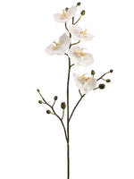 34" Phalaenopsis Orchid Spray with 5 Flowers and 12 Buds White (pack of 6)