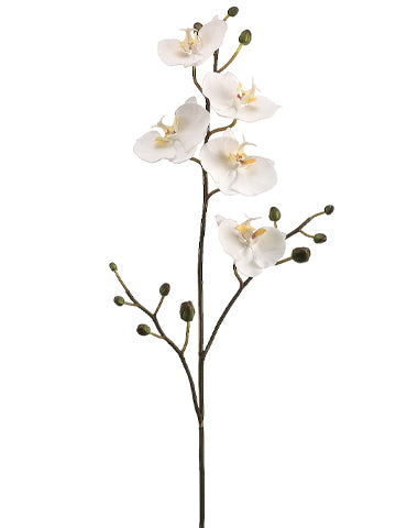 34" Phalaenopsis Orchid Spray with 5 Flowers and 12 Buds White (pack of 6)