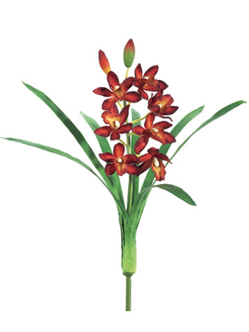 15" Mini Cymbidium Orchid Spray w/7 Flw. 2 Buds & 7 Lvs. Burgundy (pack of 6)