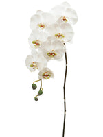 45" Phalaenopsis Orchid Spray with 7 Flowers and 3 Buds Cream Green (pack of 4)