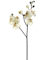 30.5" Phalaenopsis Orchid Spray x3 with 8 Flowers and 4 Buds Cream Green (pack of 6)