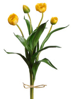 x4 Yellow