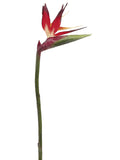 Red Orange