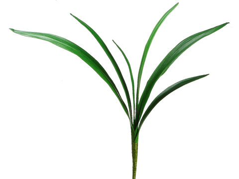 29" Amaryllis Foliage Spray  Green (pack of 12)