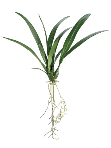 24" Oncidium Orchid Leaf Plant x3 with 11 Leaves Green (pack of 12)