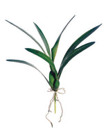 18" Dancing Orchid Leaf Plant  Green (pack of 12)