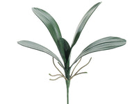 14" Phalaenopsis Orchid Leaf Spray Green (pack of 12)