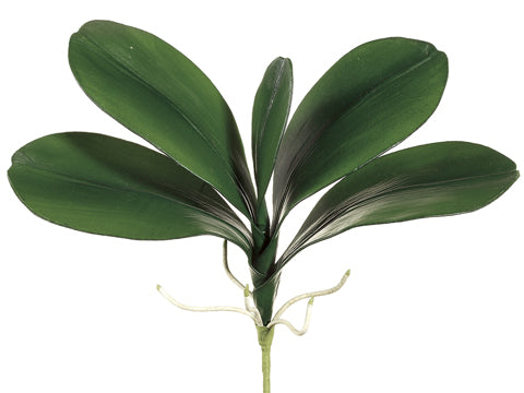 18" Phalaenopsis Orchid Leaf Plant x5 Green (pack of 12)