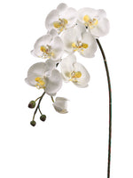 White Yellow