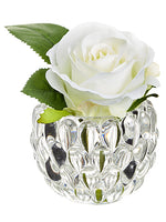 4.5" Mini Rose in Glass Vase  White (pack of 6)