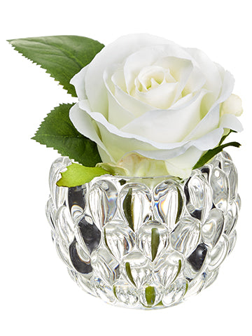 4.5" Mini Rose in Glass Vase  White (pack of 6)