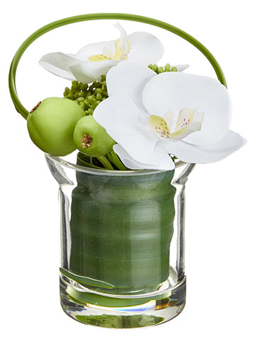 4.5" Mini Phalaenopsis Orchid/Sedum in Glass Vase White (pack of 6)