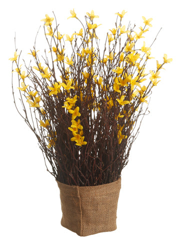 20" Forsythia Standing Twig with Burlap Yellow (pack of 6)