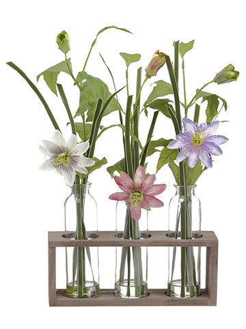 19" Clematis in Glass Vase x3 in Wood Planter Purple Pink (pack of 4)