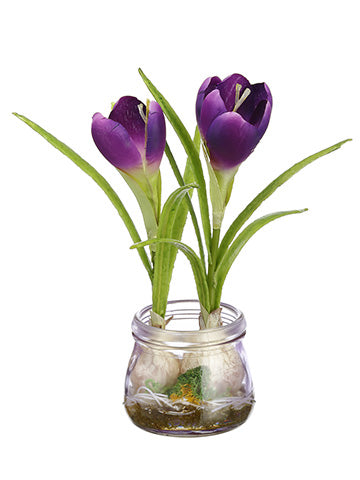 7.5" Crocus in Glass Vase  Purple (pack of 12)