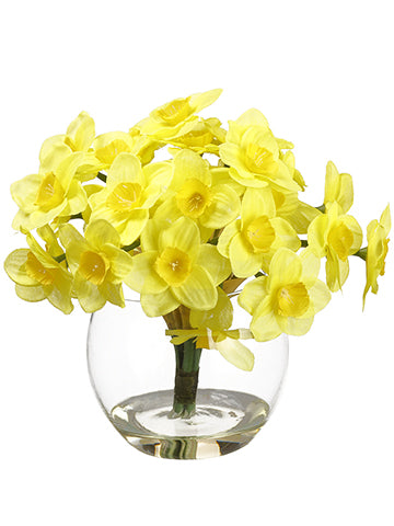 7" Daffodil in Glass Vase  Yellow (pack of 6)