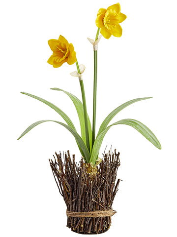 18" Daffodil With Bulb in Twig Container Yellow (pack of 6)