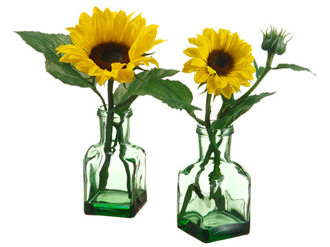 10.5"-11" Sunflower in Glass Vase (2 ea/Assortment) Yellow (pack of 12)
