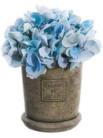 9" Hydrangea in Cement Pot  Delphinium Blue (pack of 4)