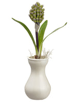 12" Hyacinth Bud in Vase  Lavender (pack of 6)