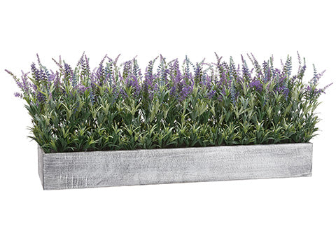 16"Hx16"Wx45"L Lavender in Wood Planter Labender Purple (pack of 1)