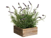 12.5" Lavender in Wood Pot  Lavender (pack of 6)