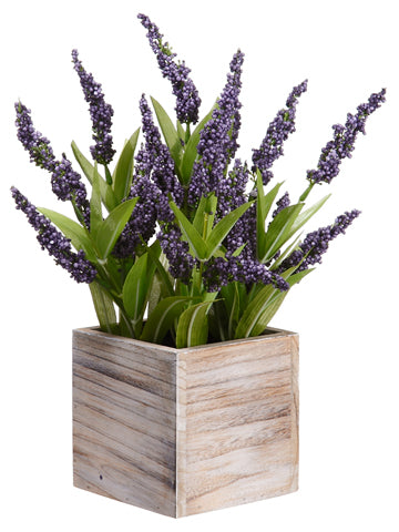 14" Lavender in Wood Container Purple (pack of 4)