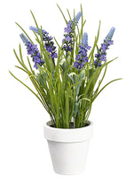 11.5" Muscari in Paper Mache Pot Purple Blue (pack of 6)