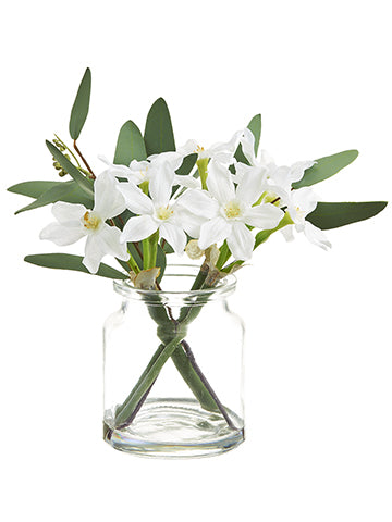 8" Narcissus/Eucalyptus in Glass Vase White (pack of 4)