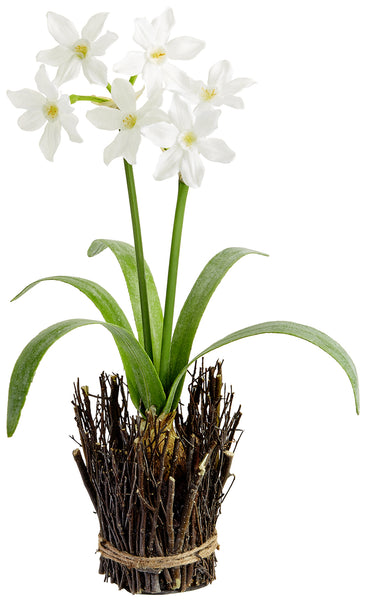 18" Narcissus With Bulb in Twig Container White (pack of 6)
