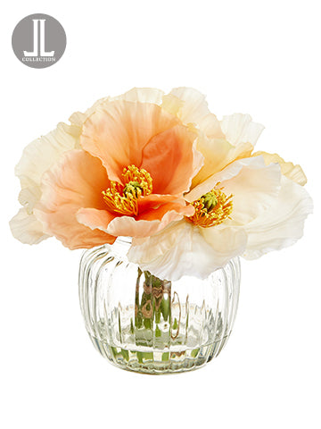 7" Poppy Bundle in Glass Vase  Mixed (pack of 6)