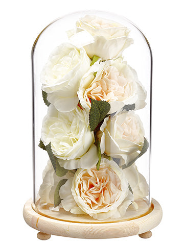 11" Rose/Sedum in Glass Dome  Cream Peach (pack of 4)