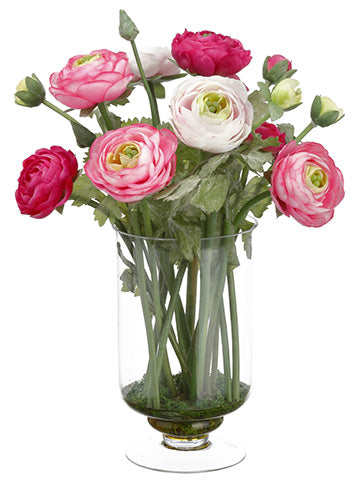 13" Ranunculus in Glass Vase  Two Tone Pink (pack of 4)