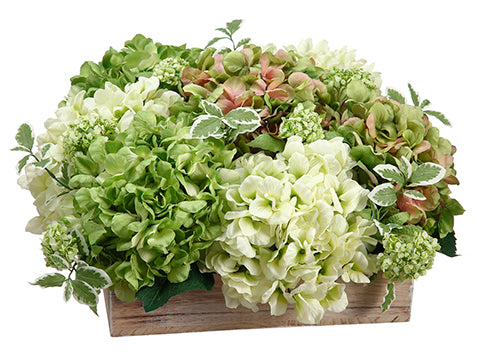 11" Hydrangea/Snowball in Wood Pot Green Cream (pack of 1)