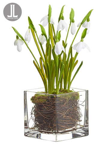 11" Snowdrop in Glass Vase  White (pack of 6)