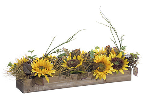 10"Wx35"L Sunflower/ Eucalyptus/Pine Cone/Pine Centerpiece in Wooden Box Yell (pack of 4)
