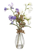 Purple White