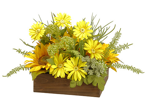 10" Sunflower/Daisy/Queen Anne's Lace in Wood Box Yellow Green (pack of 4)
