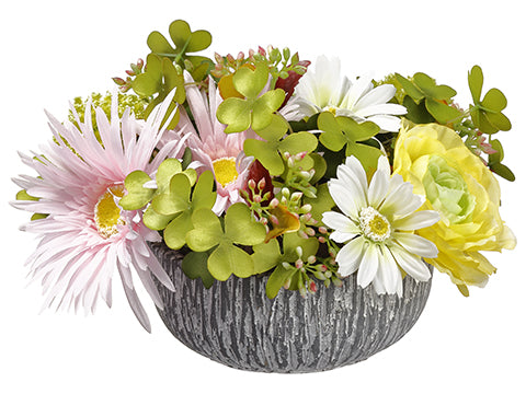 6.5" Ranunculus/Daisy/ Snowball in Cement Bowl Yellow Pink (pack of 6)
